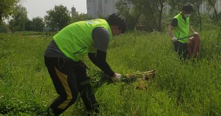 1사 1하천 가꾸기 운동
