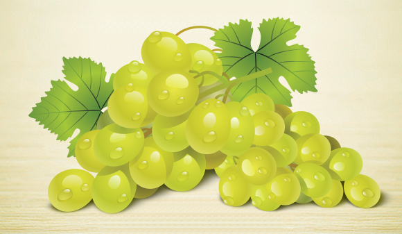 제품 특징 이미지