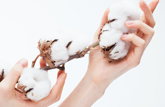 제품 특징 이미지