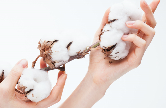 제품 특징 이미지