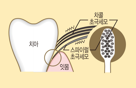 제품 특징 이미지