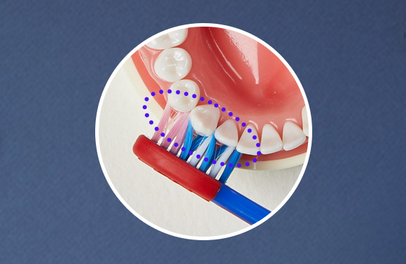 제품 특징 이미지