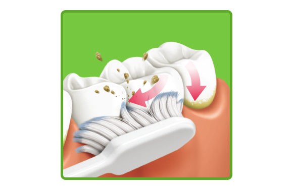 제품 특징 이미지