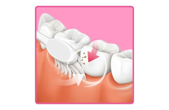 제품 특징 이미지