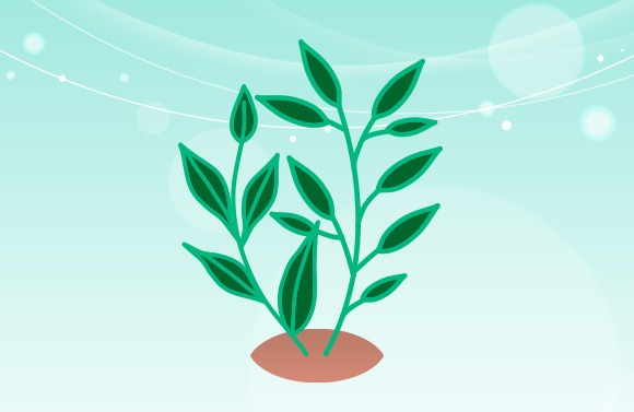 제품 특징 이미지