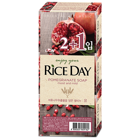 인조이 유어 라이스데이 유