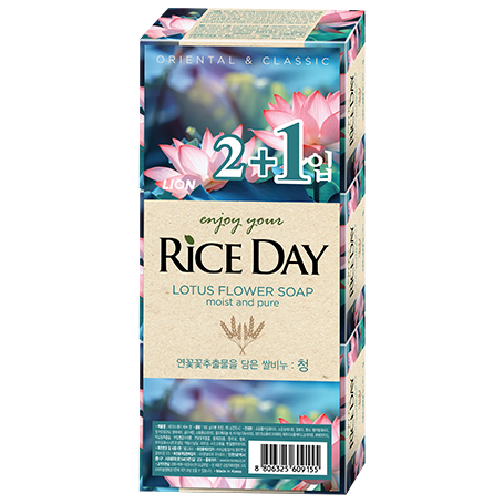 인조이 유어 라이스데이 청