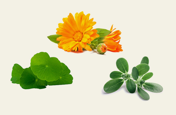 제품 특징 이미지