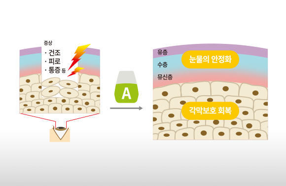 제품 특징 이미지