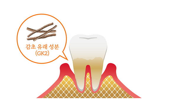 제품 특징 이미지