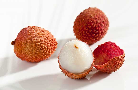 제품 특징 이미지