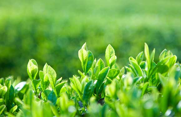 제품 특징 이미지