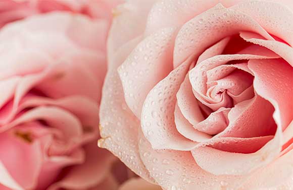 제품 특징 이미지