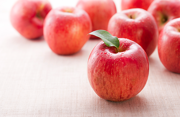 제품 특징 이미지