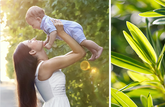 제품 특징 이미지